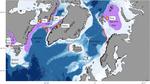 Population structure discovered in juveniles of Greenland halibut (*Reinhardtius hippoglossoides* Walbaum, 1792)